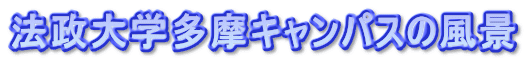 �@����w�����L�����p�X�̕��i